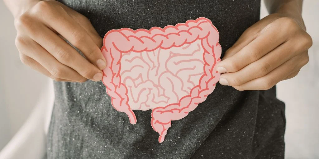 Unlocking Wellness: The Power Of Gut Health
